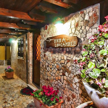 Eneahouse Hotel Fiumicino Exterior photo